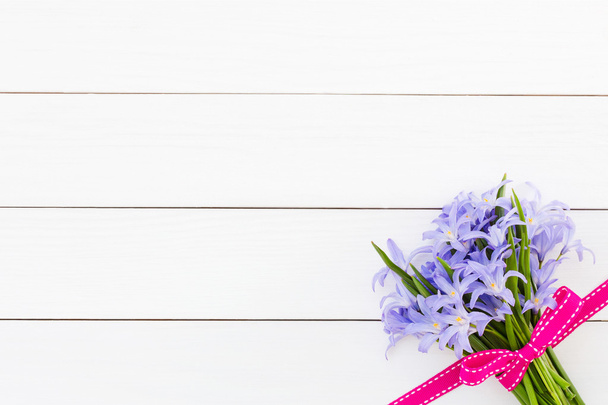 Bouquet de fleurs printanières orné d'un ruban rose sur fond de bois blanc. Vue du dessus, espace de copie. Chionodoxa fleurs
 - Photo, image