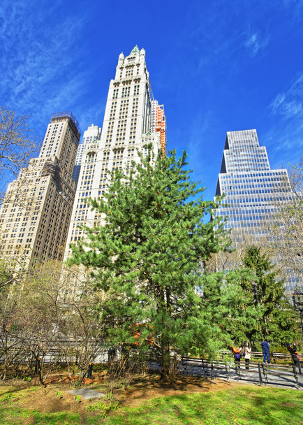City Hall Park con turistas en el Bajo Manhattan
 - Foto, imagen