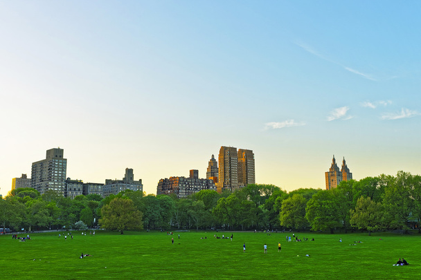Vihreä nurmikko ja Manhattanin horisontti Central Park West
 - Valokuva, kuva