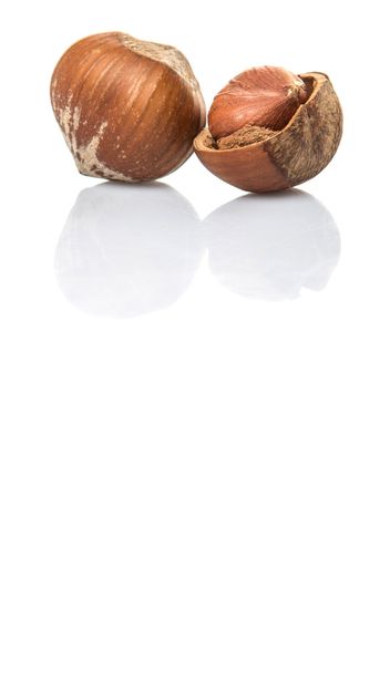 Hazelnuts на белом фоне - Фото, изображение