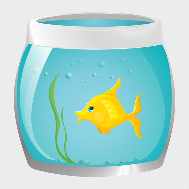 Aquarium with fish and bubbles - Vecteur, image