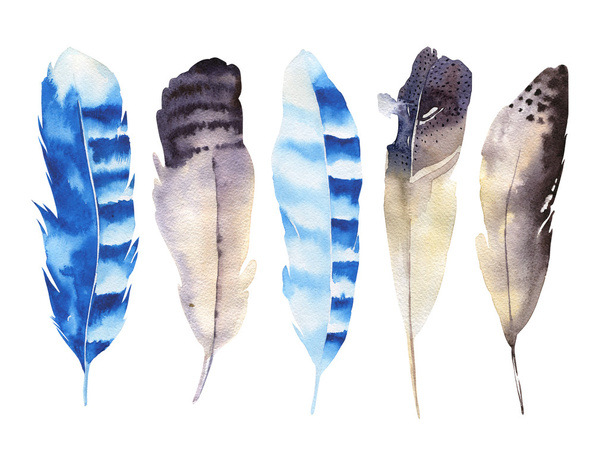 watercolor feathers set. - Foto, afbeelding