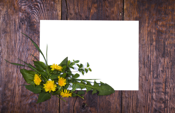 karahindiba çerçeve çiçek - Fotoğraf, Görsel