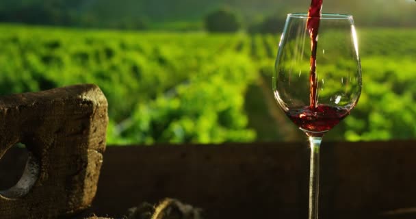 sommelier rode wijn in een glas gieten - Video