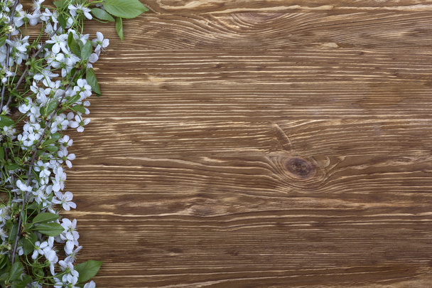 Virágzás cseresznye a fából készült táblán ága. - Fotó, kép