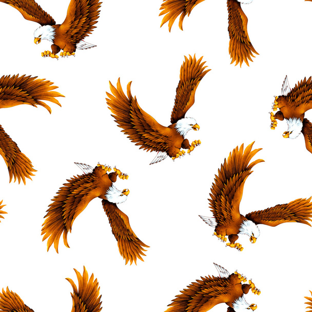 Haliaeetus leucocephalus pattern - Fotoğraf, Görsel