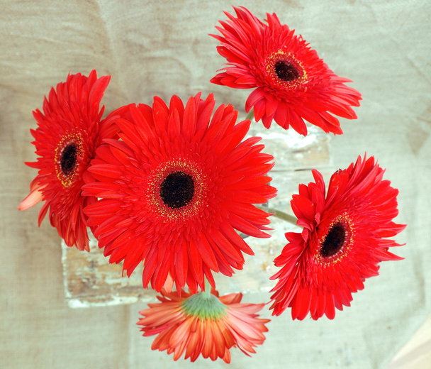 λουλούδια μπουκέτο ή κόκκινο - Φωτογραφία, εικόνα