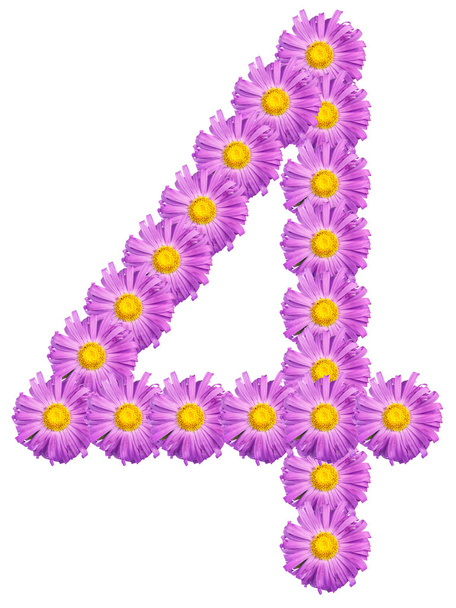 number 4 composed of colors purple asters. Isolated on white bac - Φωτογραφία, εικόνα