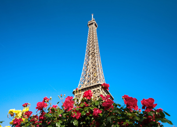 sunny morning and Eiffel Tower, Paris, France - Photo, Image