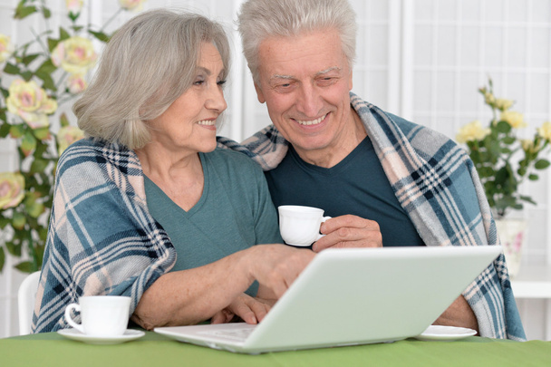 Senior couple  with laptop - Fotografie, Obrázek