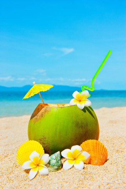 Ocean beach with palm and and exotic coctail - Foto, imagen