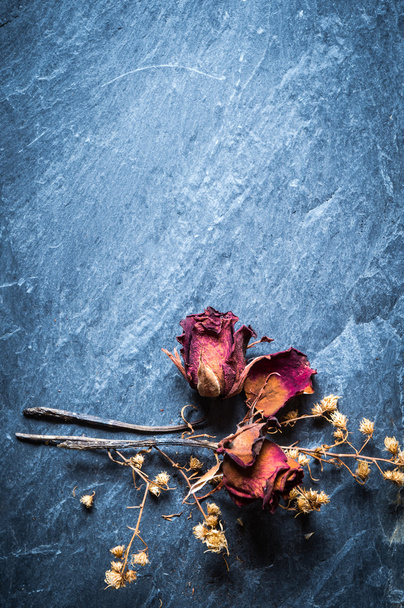 Closeup of Dry Rose Flower on Stone - Foto, Imagem