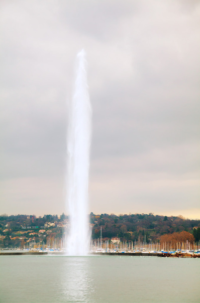 ジュネーブ噴水  - 写真・画像
