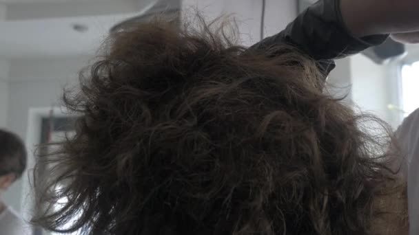Estilista peluquero colorear raíces de pelo
 - Imágenes, Vídeo