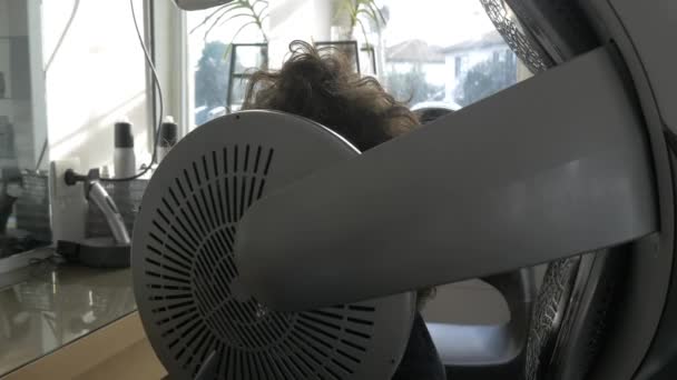 Woman drying hair in salon - Footage, Video
