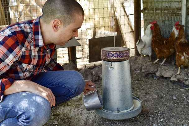 Çiftçi adam tavuk besleme - Fotoğraf, Görsel