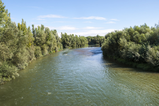 Θέα από τον ποταμό Esla - Φωτογραφία, εικόνα
