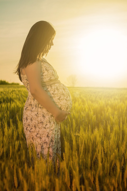 mulher grávida na natureza - Foto, Imagem