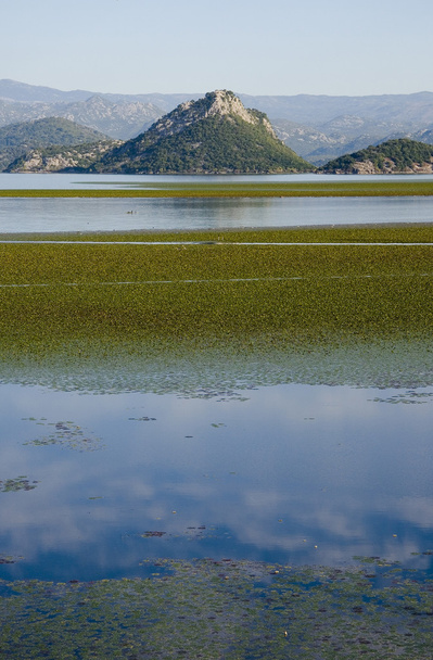 Скадарського озеро з пагорбів на задньому плані, в Virpazar, Чорногорія - Фото, зображення
