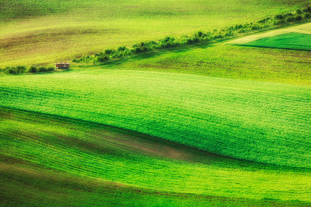 Rolling landscape of  South Moravia - Photo, Image