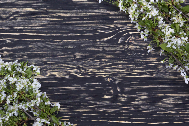 Branche fleurie de cerisier sur la planche en bois
. - Photo, image