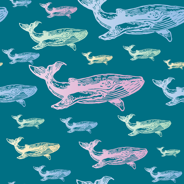Whale colourful seamless vector pattern.  - Vector, Image