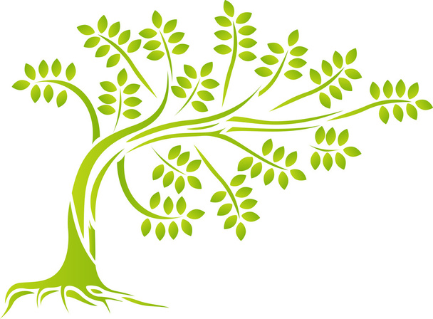 tree silhouette isolated - Vector, Image