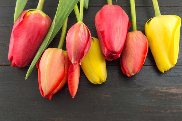 rode en gele tulpen - Foto, afbeelding