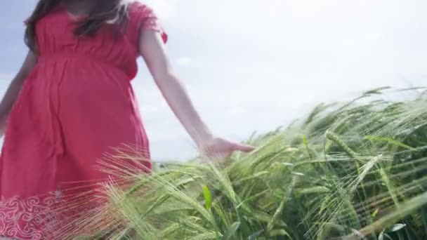 woman unning her hand through the grasses - Footage, Video