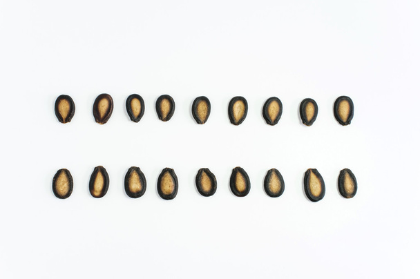 семена арбуза на белом фоне - Фото, изображение