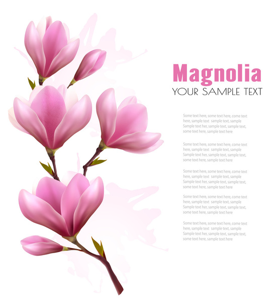 Nature background with blossom branch of pink flowers and butter - Vettoriali, immagini