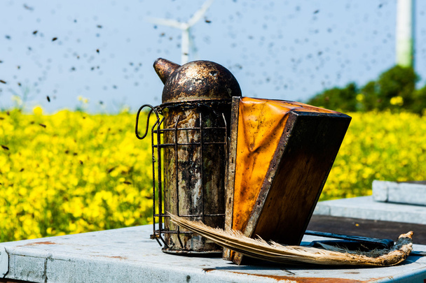 Apiculteurs fumeur sur une ruche sur un champ de viol
 - Photo, image