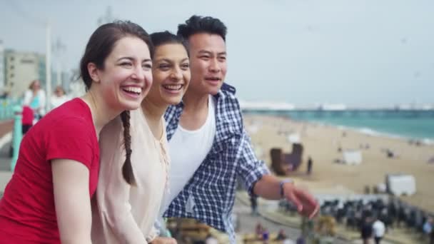 friends spending a day at the seaside - Footage, Video