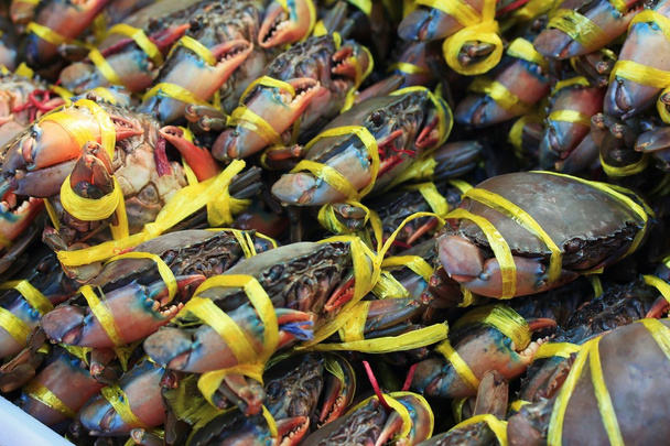 Fresh sea crab at market - Photo, Image