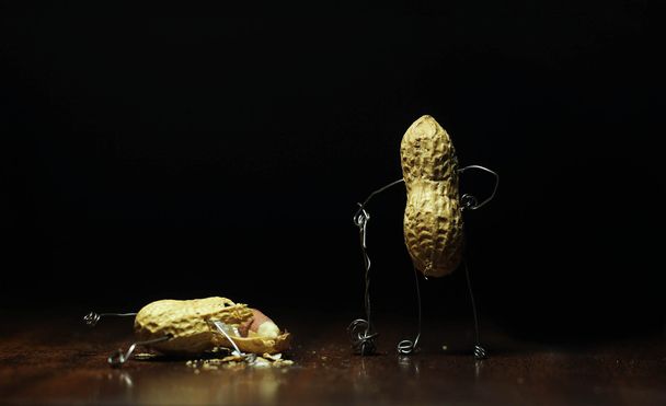 Pähkinätappelu. Maapähkinä tilalla vasara jälkeen murskaus muut maapähkinä
 - Valokuva, kuva