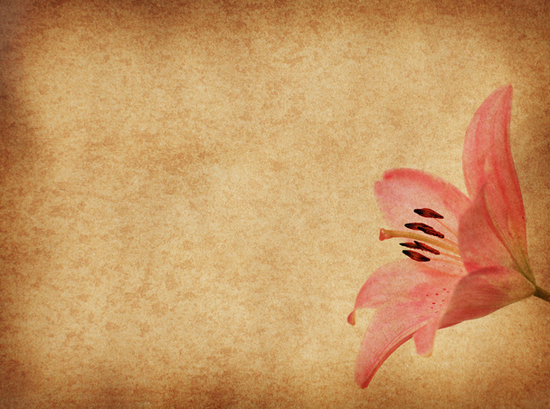 grunge květinové pozadí s růžovými lilly - Fotografie, Obrázek
