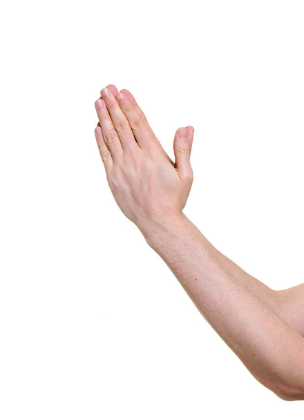 mani che pregano isolate su sfondo bianco
 - Foto, immagini