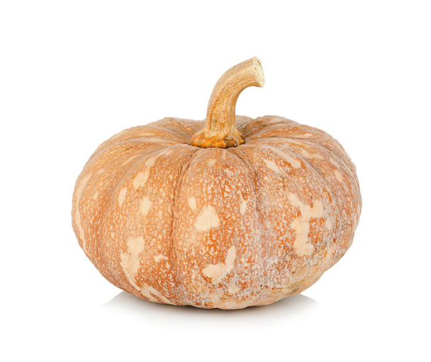Fresh pumpkin isolated on white background - Photo, Image