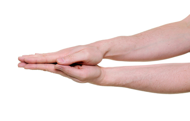 duas palmas pressionadas juntas isoladas sobre fundo branco
 - Foto, Imagem