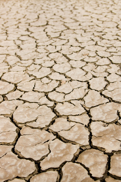 ξηρό έδαφος - Φωτογραφία, εικόνα