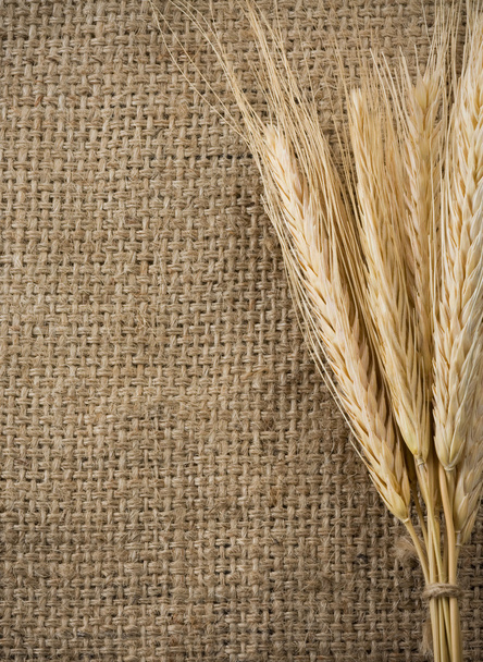 Wheat grain and sack as background - Foto, afbeelding