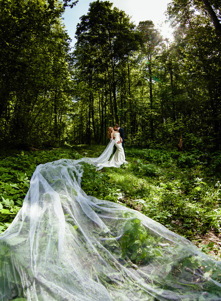 bridegroom and bride with very long bridal vail in the spring forest   - Fotografie, Obrázek