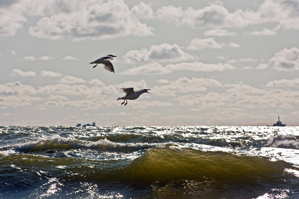 Tormenta en el mar Báltico
 - Foto, imagen