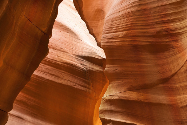 Antelope Canyon, Navajo parki, Arizona, Stany Zjednoczone Ameryki - Zdjęcie, obraz