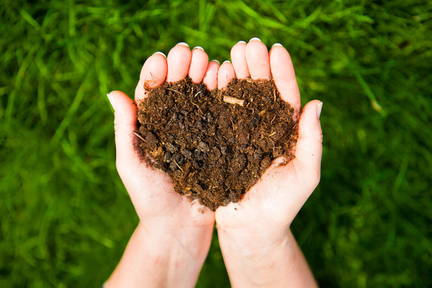 Hands holding an earth heart on natural green background. Ecolog - Photo, Image