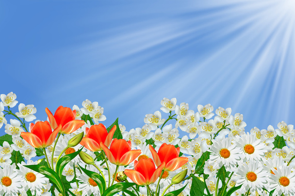 Pobočka jemné jarní květiny - Fotografie, Obrázek