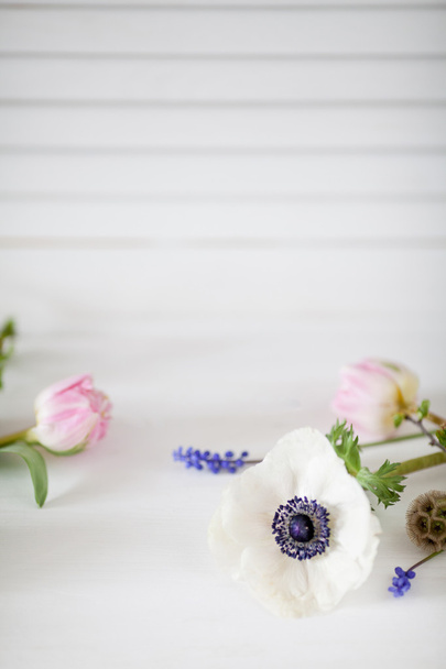 Białe i różowe kwiaty - Zdjęcie, obraz