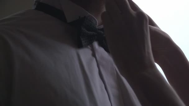 man  corrects businessman bow tie - Footage, Video