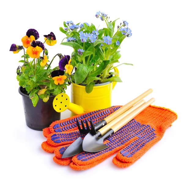 Herramientas de jardinería y flores de primavera sobre un fondo blanco
 - Foto, Imagen