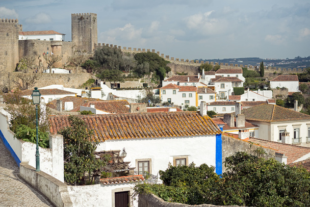 Obidos houses and the fortress tower - Photo, Image